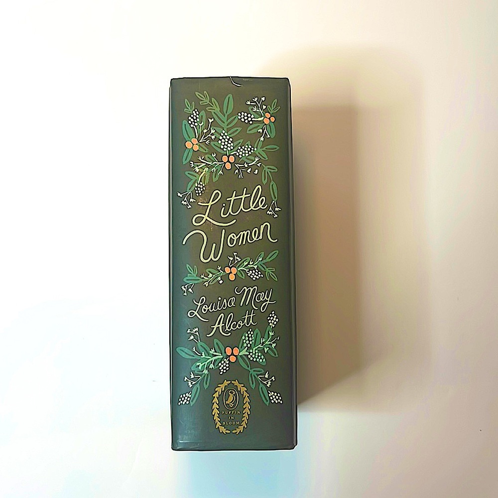 Anna Rifle Bond Illustrated Little Women Book - Picture 3 of 5